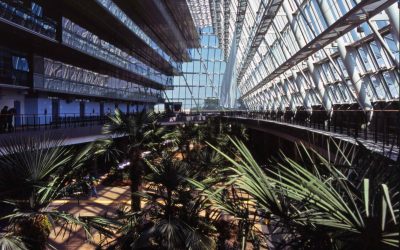 RIFLESSIONI SULLA QUALITA’ IN CHIRURGIA (1)